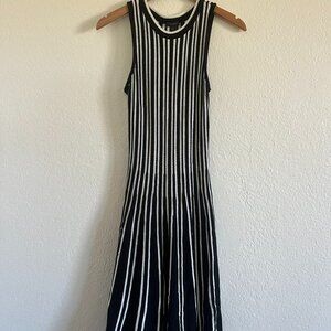 Striped Knit Ann Taylor Dress